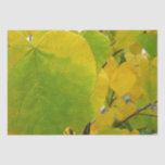 Yellow and Green Redbud Leaves Tissue Paper
