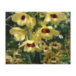 Yellow and Maroon Orchids Elegant Floral Canvas Print