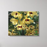 Yellow and Maroon Orchids Elegant Floral Canvas Print