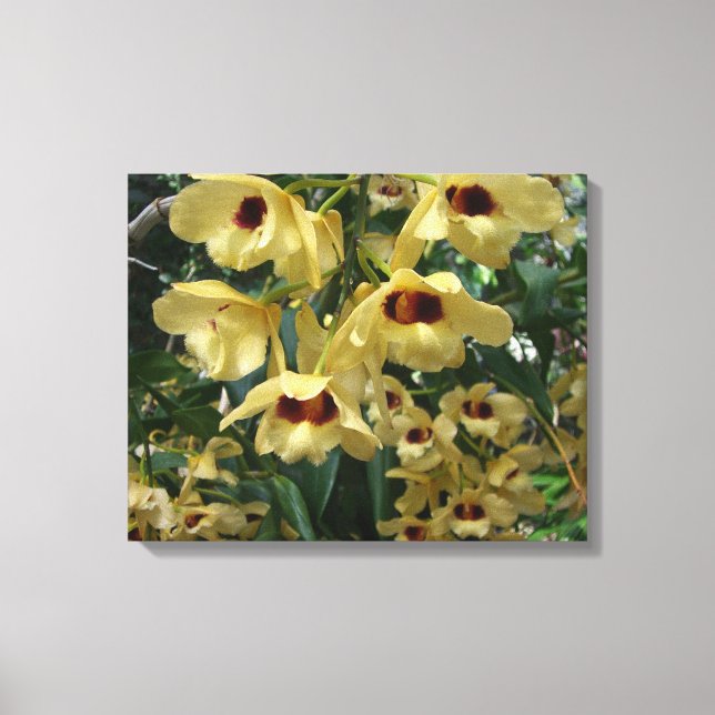 Yellow and Maroon Orchids Elegant Floral Canvas Print (Front)