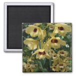 Yellow and Maroon Orchids Elegant Floral Magnet