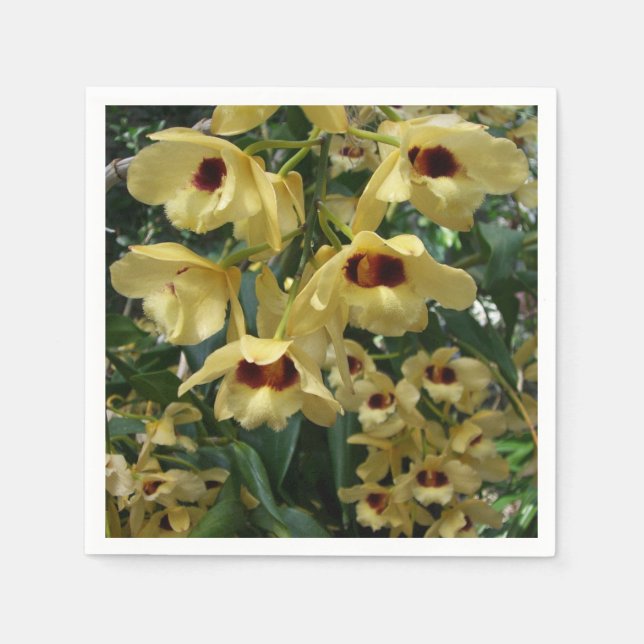 Yellow and Maroon Orchids Elegant Floral Napkins (Front)