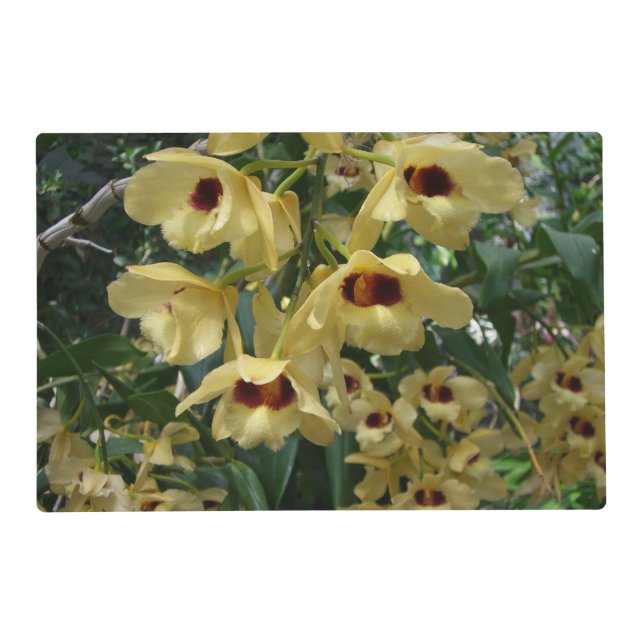 Yellow and Maroon Orchids Elegant Floral Placemat (Front)