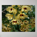 Yellow and Maroon Orchids Elegant Floral Poster