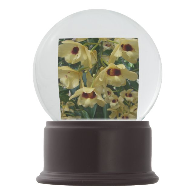 Yellow and Maroon Orchids Elegant Floral Snow Globe (Front)