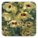 Yellow and Maroon Orchids Elegant Floral Square Sticker