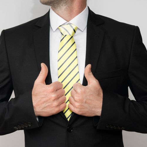 Yellow and Navy Blue Stripes Neck Tie