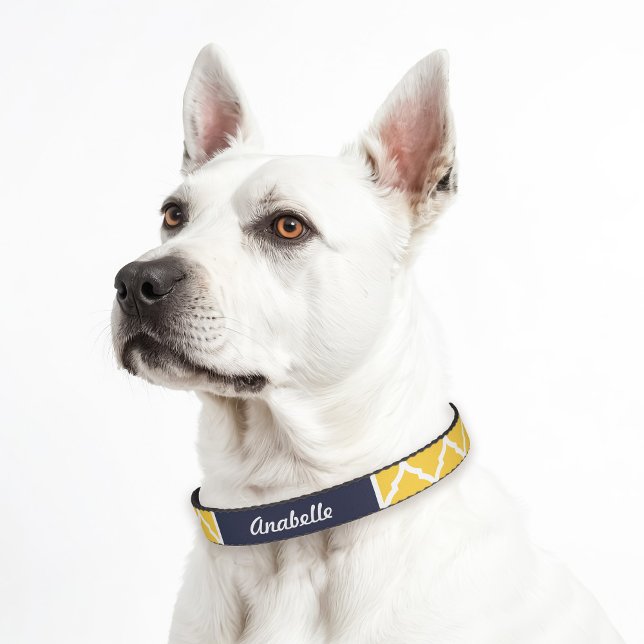Yellow and Navy Quatrefoil Monogram Pet Collar (Creator Uploaded)