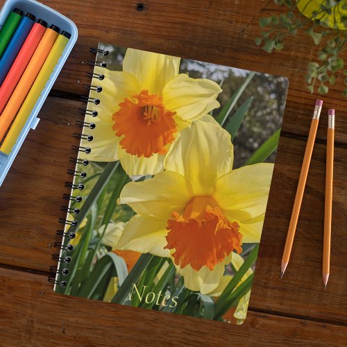 Yellow and Orange Daffodils Floral Notebook