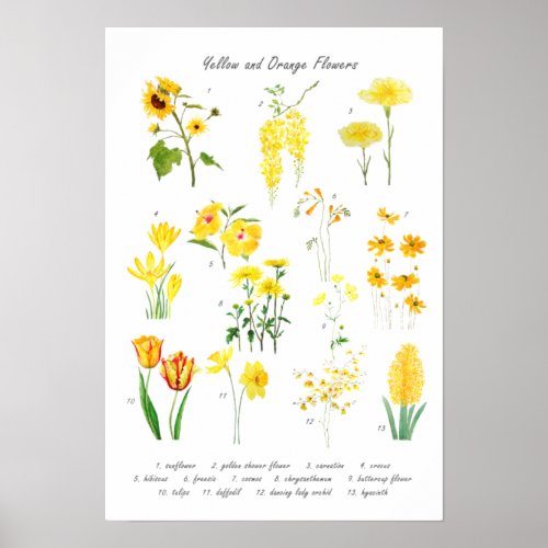 yellow and orange flowers collection  poster