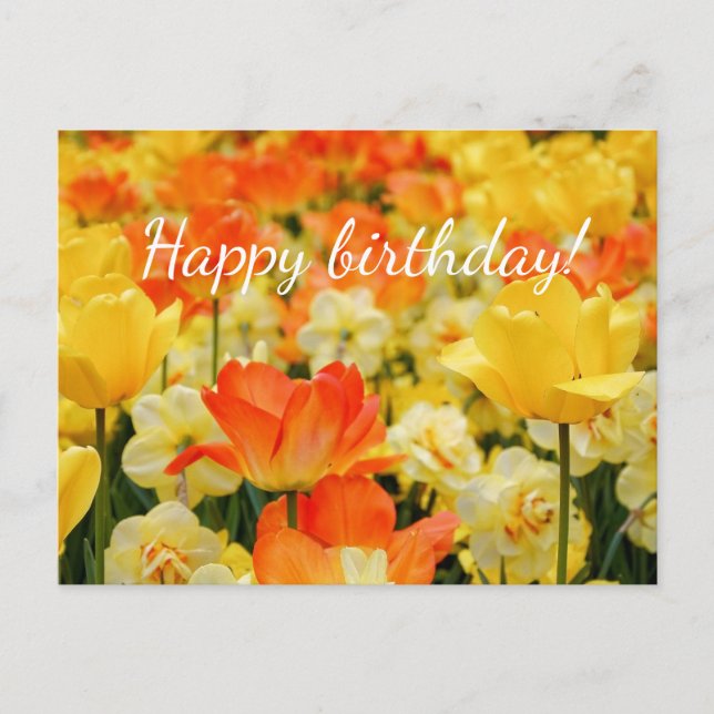 Yellow and Orange flowers Postcard (Front)