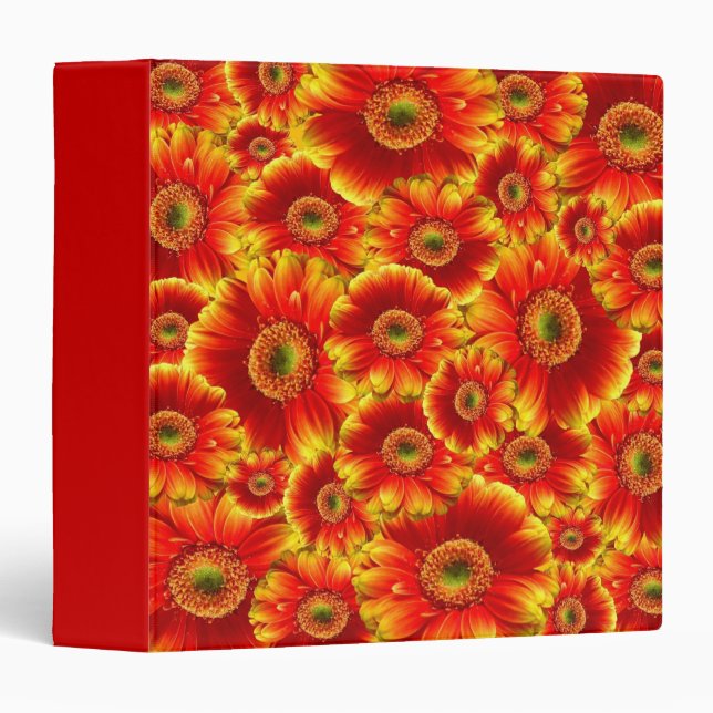 Yellow and Orange Gerbera Daisies 3 Ring Binder (Front/Spine)