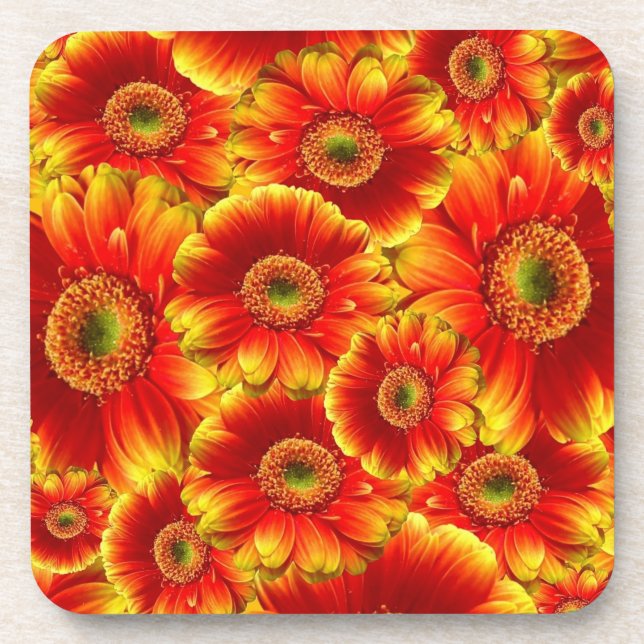 Yellow and Orange Gerbera Daisies Beverage Coaster (Front)