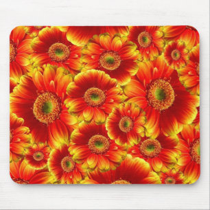 Yellow and Orange Gerbera Daisies Mouse Pad