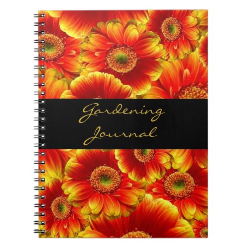 Yellow and Orange Gerbera Daisies Notebook