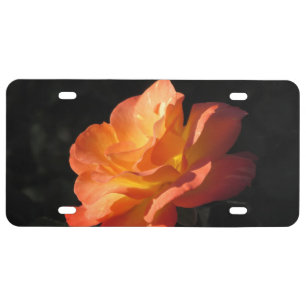 Yellow and Orange Rose License Plate