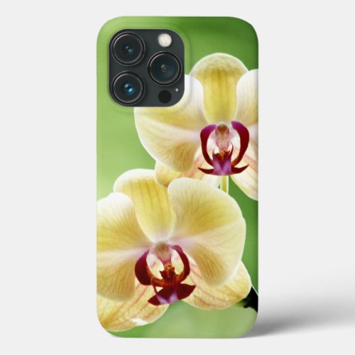 Yellow and Pink Orchid iPhone 13 Pro Case