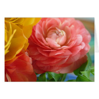 yellow and pink ranunculus cards