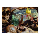Yellow and Plum Trout Lily and Snail Shell (Front Horizontal)