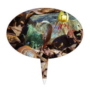 Yellow and Plum Trout Lily and Snail Shell Cake Topper