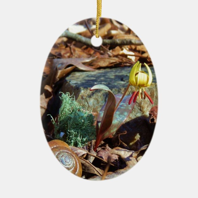 Yellow and Plum Trout Lily and Snail Shell Ceramic Ornament (Front)