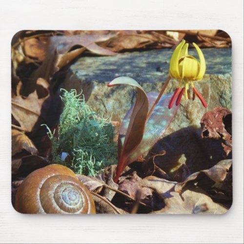 Yellow and Plum Trout Lily and Snail Shell Mouse Pad