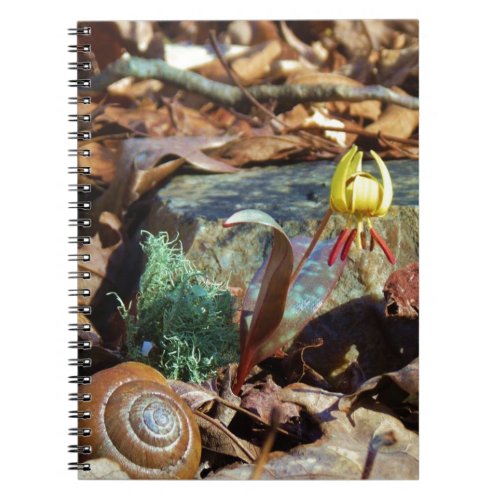 Yellow and Plum Trout Lily and Snail Shell Notebook