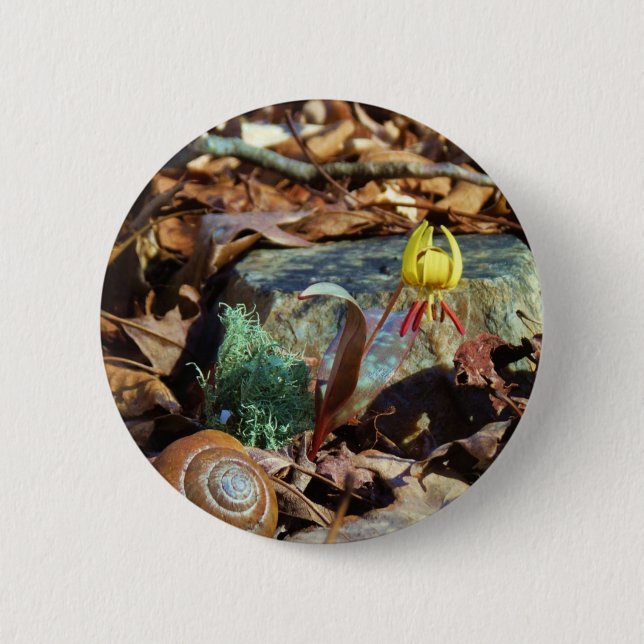 Yellow and Plum Trout Lily and Snail Shell Pinback Button (Front)