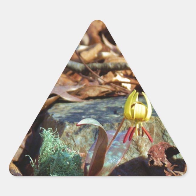 Yellow and Plum Trout Lily and Snail Shell Triangle Sticker (Front)
