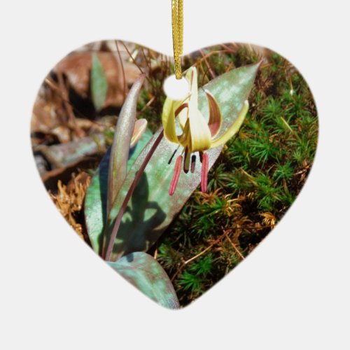 Yellow and Plum Trout Lily Ceramic Ornament