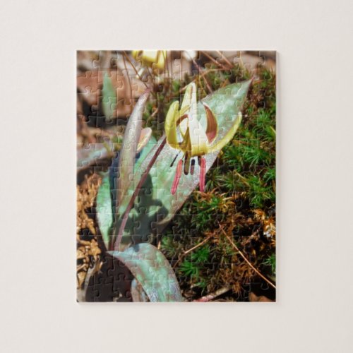 Yellow and Plum Trout Lily Jigsaw Puzzle