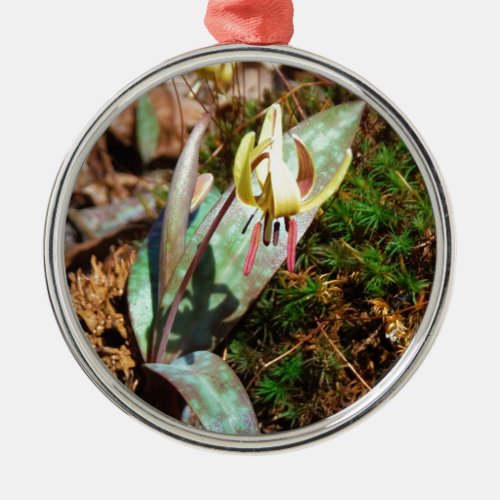 Yellow and Plum Trout Lily Metal Ornament