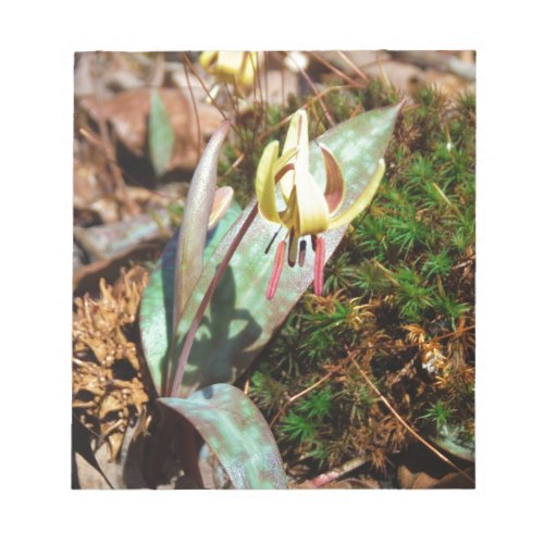 Yellow and Plum Trout Lily Notepad