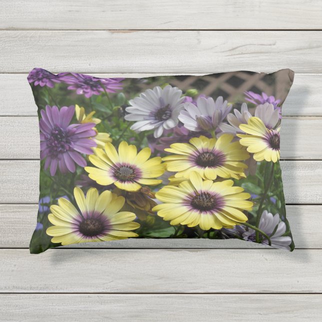 Yellow and Purple African Daisies Outdoor Pillow (Front)