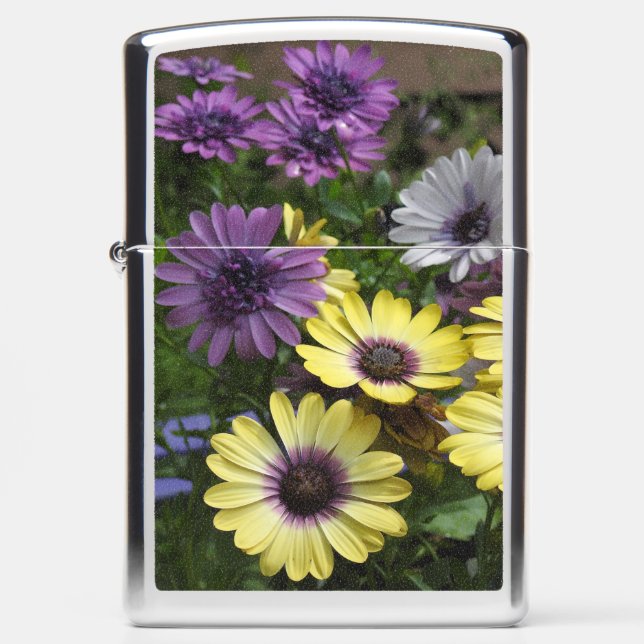 Yellow and Purple African Daisies Zippo Lighter (Front)