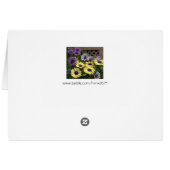Yellow and Purple African Daisy Flowers (Back Horizontal)