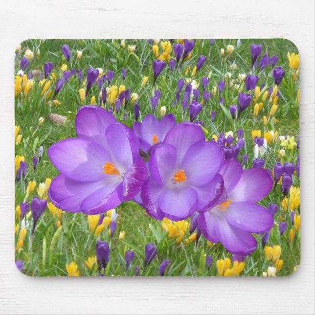 Yellow and Purple Crocuses Mouse Pad (Front)