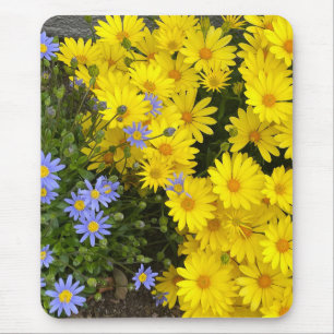 Yellow and Purple Daisies Mouse Pad