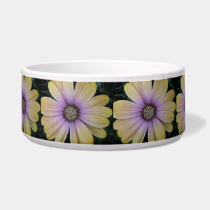 Yellow and Purple Daisy Flower Bowl