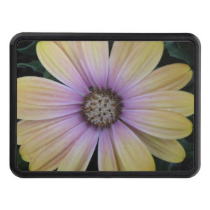 Yellow and Purple Daisy Flower Hitch Cover