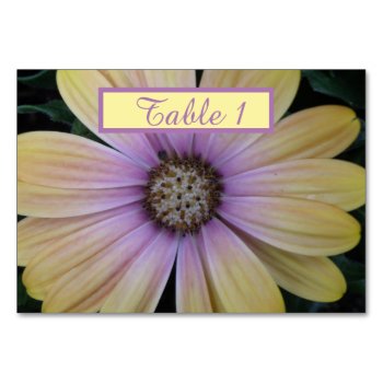 Yellow And Purple Daisy Flower Personalized Table Number by Fallen_Angel_483 at Zazzle