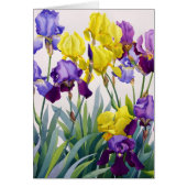 Yellow and Purple Irises (Front)