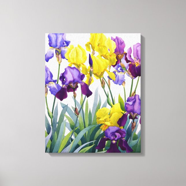 Yellow and Purple Irises Canvas Print (Front)