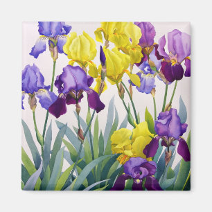 Yellow and Purple Irises Magnet