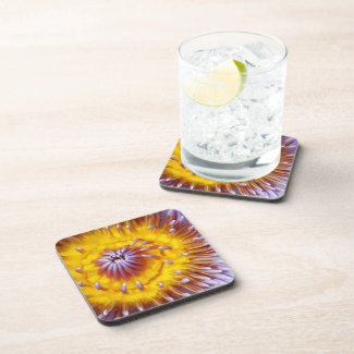 Yellow and Purple Lily Flower Closeup Beverage Coaster
