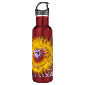 Yellow and Purple Lily Flower Closeup Water Bottle