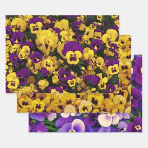 Yellow and Purple Pansies Wrapping Paper Sheets