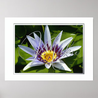 Yellow and Purple Water Lily Foil Text Foil Prints