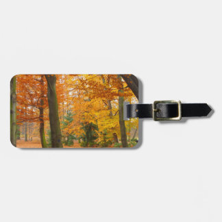 Yellow and Red Autumn Trees and Leaves Luggage Tag