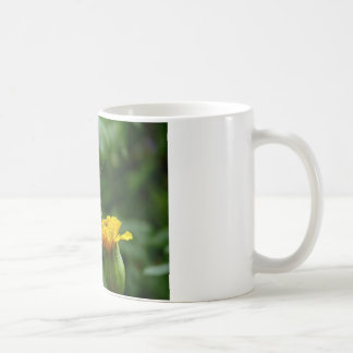 Yellow and Red Butterfly on Yellow Flower Coffee Mug